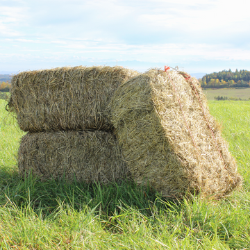 BIO "Thermal-Heu" Kleinballen (Palette mit 15 Stück und ca. 390 kg) - fermentiertes Heu