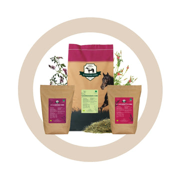 Bundle "Basic"