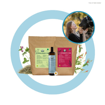 Bundle "Ellen"