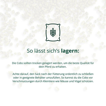Bundle "Benno-Hex" Biohof Elmengrund