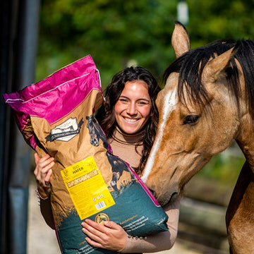 Bundle "Dancinghorses"