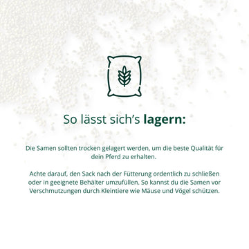 BIO Hanfsamen Biohof Elmengrund