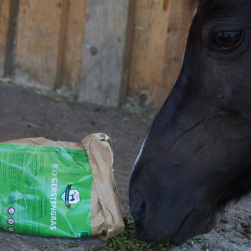 BIO Gerstengras – AB SOFORT ALS PELLETS