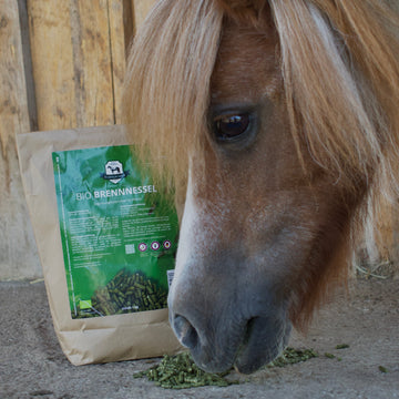 BIO Brennnessel – AB SOFORT ALS PELLETS