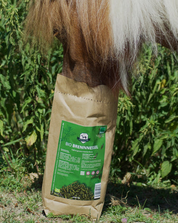 Pony frisst die Brennnessel Pellets vom Biohof Elmengrund direkt aus dem Futtersack