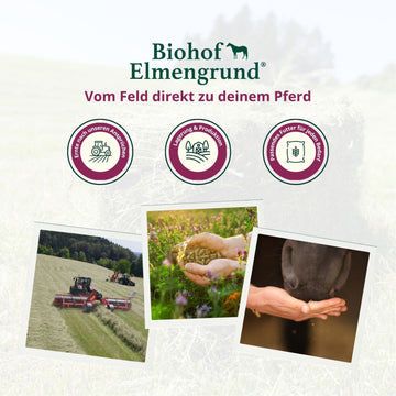 Produktion und Herstellung beim Biohof Elmengrund