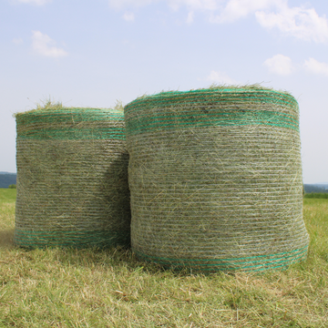BIO Kräuter-Heu Rundballen (ca. 250 kg)